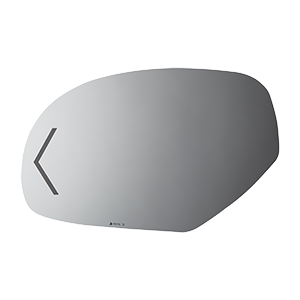 SIDE VIEW MIRROR W SIGNAL